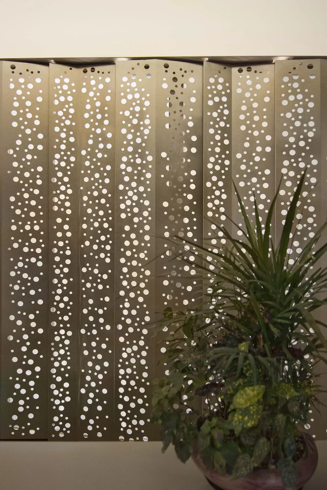 Dental clinic - Healthcare